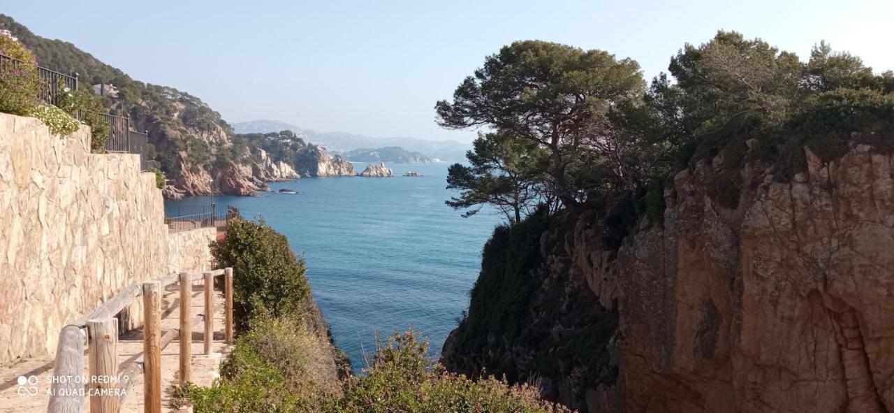 Villa Blanca 10 Minutos De La Playa Costa Brava Massanet De La Selva Dış mekan fotoğraf