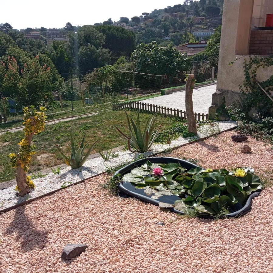 Villa Blanca 10 Minutos De La Playa Costa Brava Massanet De La Selva Dış mekan fotoğraf